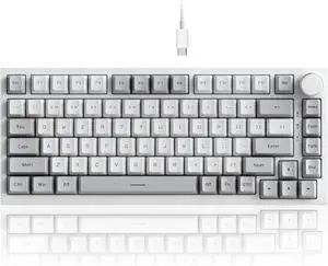 AK820 Wired 75% Mechanical Keyboard, HP-Style Tactile, Hot-Swappable | 81key PBT keycaps, White Backlit 20 modes, Metal Volume Knob, USB-C, Gasket Mount, 5-layer Foam, Dual Drivers Options, PC/Mac AK820 Wired 75% Mechanical Keyboard, HP-Style Tactile, Hot-Swappable | 81key PBT keycaps, White Backlit 20 modes, Metal Volume Knob, USB-C, Gasket Mount, 5-layer Foam, Dual Drivers Options, PC/Mac