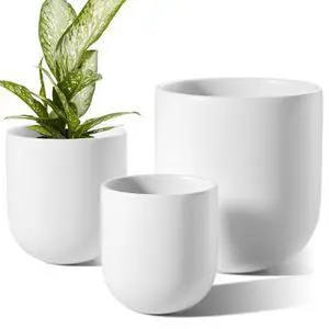 6+8+10 Inch Ceramic Pots for Plants, Plant Pots Indoor with Drainage Hole and Plug, Planter Pots for Home Office Room Patio, Set of 3, White 6+8+10 Inch Ceramic Pots for Plants, Plant Pots Indoor with Drainage Hole and Plug, Planter Pots for Home Office Room Patio, Set of 3, White