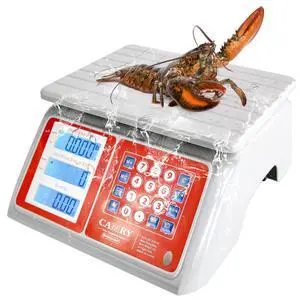 Waterproof Commercial Food Scale, 66lb/30kg, Price Computing Waterproof Commercial Food Scale, 66lb/30kg, Price Computing