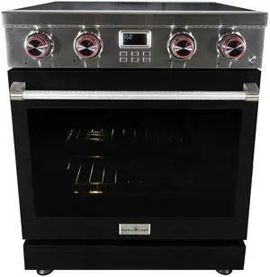 Pro-Style 30 in. 4-Element Slide-In Electric Range with Convection in Stainless with Black Door Pro-Style 30 in. 4-Element Slide-In Electric Range with Convection in Stainless with Black Door