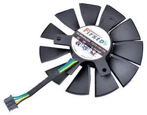 Fans Fans
