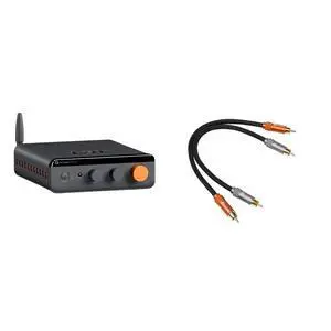 BT20A MAX Stereo Power Amplifier, 300W x 2 Hi-Fi Audio Amp with PFFB Technology, LDAC Bluetooth 6.0 +Fosi Audio 2RCA to 2RCA Cable 0.9Ft BT20A MAX Stereo Power Amplifier, 300W x 2 Hi-Fi Audio Amp with PFFB Technology, LDAC Bluetooth 6.0 +Fosi Audio 2RCA to 2RCA Cable 0.9Ft