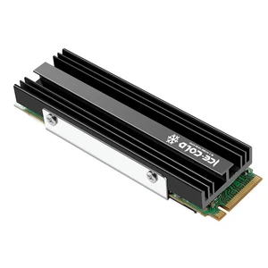 Solid State Disk Drive Radiator Cooler M.2 NGFF NVME 2280 SSD Heatsink with Silicone Thermal Pad PC Efficient Radiator for Solid State Disk Drive Radiator Cooler M.2 NGFF NVME 2280 SSD Heatsink with Silicone Thermal Pad PC Efficient Radiator for