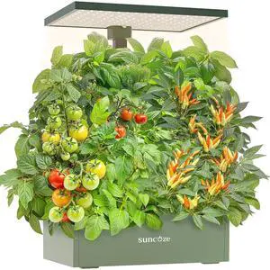Hydroponics Growing System Kit, 20 Pods Indoor Herb Garden with 10L Large Tank & Adjustable Height 25", 30W LED Grow Light, LCD Display with Pump & Low Water Reminder, Avocado Green Hydroponics Growing System Kit, 20 Pods Indoor Herb Garden with 10L Large Tank & Adjustable Height 25", 30W LED Grow Light, LCD Display with Pump & Low Water Reminder, Avocado Green