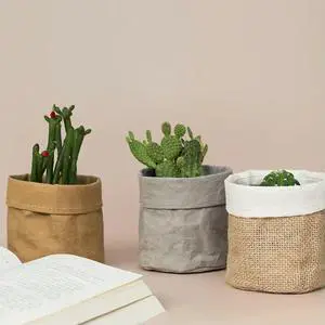 1Pcs Premium Kraft Paper Cloth Flower Pot Cover for Succulents Cactus Bonsai Mini Potted Plants Office Desk Decor Pen Makeup 1Pcs Premium Kraft Paper Cloth Flower Pot Cover for Succulents Cactus Bonsai Mini Potted Plants Office Desk Decor Pen Makeup