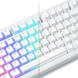 Double Shot PBT Keycaps, Pudding White Keyboard Key caps, OEM Profile Custom Keycaps 75 Percent 129-key Set for 60% 65% 75% 100% Cherry Gateron MX Mechanical Keyboard-White Double Shot PBT Keycaps, Pudding White Keyboard Key caps, OEM Profile Custom Keycaps 75 Percent 129-key Set for 60% 65% 75% 100% Cherry Gateron MX Mechanical Keyboard-White