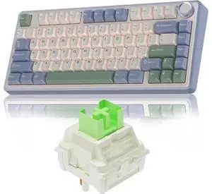 AULA F75 75% Wireless Mechanical Keyboard, Gasket Hot Swappable Custom Keyboard + LEOBOG Reaper Switches Set AULA F75 75% Wireless Mechanical Keyboard, Gasket Hot Swappable Custom Keyboard + LEOBOG Reaper Switches Set