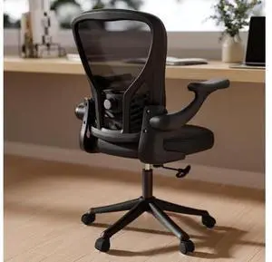 GYI Ergonomic Office Chair, Mesh Desk Chair with Adjustable Lumbar Support and 3D Flip-up Arms, Computer Chair with Wheels, Black GYI Ergonomic Office Chair, Mesh Desk Chair with Adjustable Lumbar Support and 3D Flip-up Arms, Computer Chair with Wheels, Black