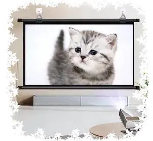 Outdoor Projection Screen 30" 40" 50" 60" 72" Manual Pull Down Movie Screen Home Theater Projector Screen 4K HD Projector Movie Screen(60 Inch (16:9)) Outdoor Projection Screen 30" 40" 50" 60" 72" Manual Pull Down Movie Screen Home Theater Projector Screen 4K HD Projector Movie Screen(60 Inch (16:9))