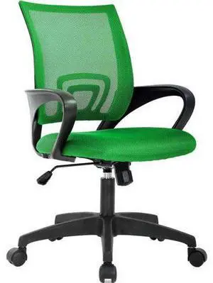 Home Office Chair Ergonomic Desk Chair Mesh Computer Chair with Lumbar Support Armrest Executive Rolling Swivel Adjustable Mid Back Task Chair for Women Adults (Green) Home Office Chair Ergonomic Desk Chair Mesh Computer Chair with Lumbar Support Armrest Executive Rolling Swivel Adjustable Mid Back Task Chair for Women Adults (Green)