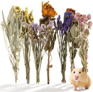 Hamster Bedding Sprays Habitat Decor - Natural Hamster Cage Accessories with Floral Forage, Layered Small Animal Habitat Decor for Hamster Enrichment, Syrian Hamster Hideout Cage Decor Hamster Bedding Sprays Habitat Decor - Natural Hamster Cage Accessories with Floral Forage, Layered Small Animal Habitat Decor for Hamster Enrichment, Syrian Hamster Hideout Cage Decor