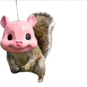 Squirrel Head Feeder - Hanging Animal Feeder with Plastic Construction Squirrel Head Feeder - Hanging Animal Feeder with Plastic Construction
