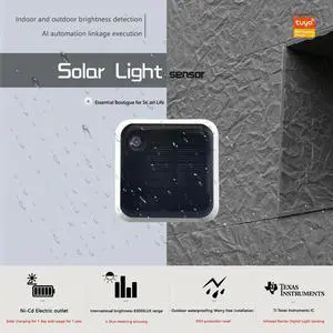 Solar Powered Light Sensor Waterproof IP65 Real Time Luminance Sensor High Precision Detection for Home Automation Scene Linkage Solar Powered Light Sensor Waterproof IP65 Real Time Luminance Sensor High Precision Detection for Home Automation Scene Linkage