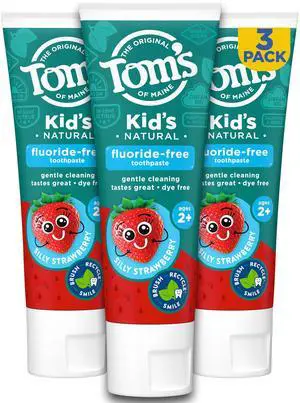 Natural Kid's Fluoride Free Toothpaste, Ages 2+, Silly Strawberry, 5.1 oz. 3-Pack (back in original formula) Natural Kid's Fluoride Free Toothpaste, Ages 2+, Silly Strawberry, 5.1 oz. 3-Pack (back in original formula)