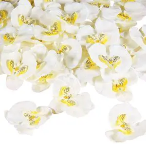 40 Pieces Orchid Petals Artificial Decorations Wedding Party Orchids Heads Flowers Faux Silk Phalaenopsis Butterfly Flower Heads for DIY Craft Home (White) 40 Pieces Orchid Petals Artificial Decorations Wedding Party Orchids Heads Flowers Faux Silk Phalaenopsis Butterfly Flower Heads for DIY Craft Home (White)