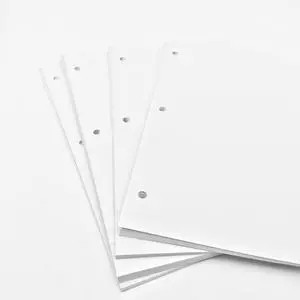 Loose Leaf Paper,(8.5" x 11") - 3-Hole Punched Letter, Filler Paper,Multi-Use Print & Copy White Paper Brightness (100) Loose Leaf Paper,(8.5" x 11") - 3-Hole Punched Letter, Filler Paper,Multi-Use Print & Copy White Paper Brightness (100)