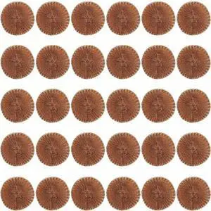 30 Pcs Copper Coated Scouring Pad for Dishes Pots Pans and Ovens Easy Scouring for Tough Kitchen Cleaning 30 Pcs Copper Coated Scouring Pad for Dishes Pots Pans and Ovens Easy Scouring for Tough Kitchen Cleaning
