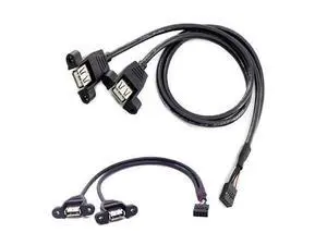 50cm Motherboard USB 2.0 9 Pin Header to Dual USB Type A Female Adapter Cable, Internal Front Panel USB Expansion Cord with Screw Mount Holes, 480Mbps High Speed for Desktop PC Chassis Modding 50cm 50cm Motherboard USB 2.0 9 Pin Header to Dual USB Type A Female Adapter Cable, Internal Front Panel USB Expansion Cord with Screw Mount Holes, 480Mbps High Speed for Desktop PC Chassis Modding 50cm