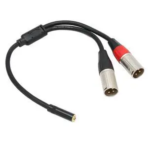 3.5mm 1/8 to XLR Microphone Cable, Professional Connector Adapter,Balanced Dual XLR Male to 3.5mm Female Stereo Cable 1.0ft 3.5mm 1/8 to XLR Microphone Cable, Professional Connector Adapter,Balanced Dual XLR Male to 3.5mm Female Stereo Cable 1.0ft