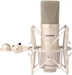 Condenser Microphone XLR, Large Diaphgram Professional Recording Cardioid Microphone Kit with Shock Mount, for Studio, Live Streaming, Podcas (Silver) Condenser Microphone XLR, Large Diaphgram Professional Recording Cardioid Microphone Kit with Shock Mount, for Studio, Live Streaming, Podcas (Silver)