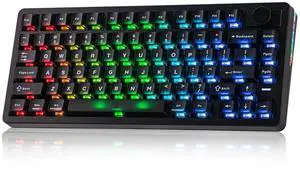 HE75 V2 Hall Effect Gaming Keyboard, 8K Polling & 0.1ms, 8000mAh & 2.4Ghz/BT, Hot Swap Key & Knob, 0.005mm Adjustable Actuation, Rapid Triggering, Creamy & Thocky (Black) HE75 V2 Hall Effect Gaming Keyboard, 8K Polling & 0.1ms, 8000mAh & 2.4Ghz/BT, Hot Swap Key & Knob, 0.005mm Adjustable Actuation, Rapid Triggering, Creamy & Thocky (Black)