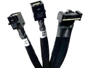 80cm SlimSAS LP 8X to 2×MiniSAS HD 4X Cable, SFF8654 LP 74Pin to 2×SFF8643 36Pin, Compatible with DELL H750/H755 Servers 80cm SlimSAS LP 8X to 2×MiniSAS HD 4X Cable, SFF8654 LP 74Pin to 2×SFF8643 36Pin, Compatible with DELL H750/H755 Servers