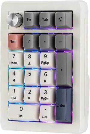 EK21 VIA Gasket Number Pad w/ 1000mAh Battery, BT 5.0/2.4GHz/Wired | Hot-Swap Numpad with Aluminum Alloy knob, Programmable for Win/Mac/Gaming (Retro White, Wisteria V2 Switch) EK21 VIA Gasket Number Pad w/ 1000mAh Battery, BT 5.0/2.4GHz/Wired | Hot-Swap Numpad with Aluminum Alloy knob, Programmable for Win/Mac/Gaming (Retro White, Wisteria V2 Switch)