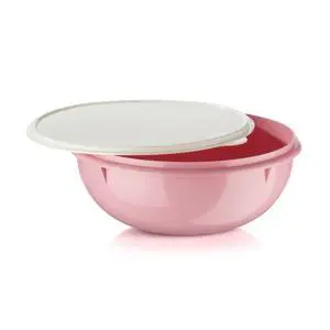 Fix-N-Mix 1.7 Gallon Mixing Bowl with Lid, Pink Vintage Color, Dishwasher Safe and BPA Free (6.5 L) Fix-N-Mix 1.7 Gallon Mixing Bowl with Lid, Pink Vintage Color, Dishwasher Safe and BPA Free (6.5 L)