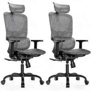 Ergonomic Mesh Office Chair with 5-Level Lumbar Support, Computer Gaming Chair with Adjustable Headrest & Armrests, Rocking Tilt, Comfortable High Back Desk Chair for Home Office,2 Pack Ergonomic Mesh Office Chair with 5-Level Lumbar Support, Computer Gaming Chair with Adjustable Headrest & Armrests, Rocking Tilt, Comfortable High Back Desk Chair for Home Office,2 Pack