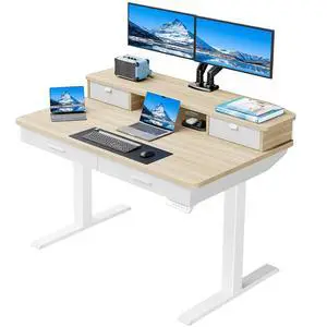48 x 30 inch Electric Standing Desk with 2 Wood Drawers, Adjustable Height Sit Stand Desk for Home Office, Ergonomic Stand up Desk with 4 Memory Presets, 176 lbs Capacity, Natural Top 48 x 30 inch Electric Standing Desk with 2 Wood Drawers, Adjustable Height Sit Stand Desk for Home Office, Ergonomic Stand up Desk with 4 Memory Presets, 176 lbs Capacity, Natural Top