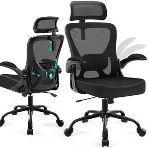 AreShark Office Chair - Ergonomic Desk Chair Breathable Mesh Chair with 2D Headrest & Adjustable Lumbar Support - Executive High Back Rolling Swivel Computer Gaming Chair with Wheels Flip-up Armrests AreShark Office Chair - Ergonomic Desk Chair Breathable Mesh Chair with 2D Headrest & Adjustable Lumbar Support - Executive High Back Rolling Swivel Computer Gaming Chair with Wheels Flip-up Armrests