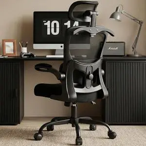 AreShark Office Chair-Ergonomic Desk Chair with Hidden Hanger & Flip-Up Arms, High Back Mesh Computer Chair with 2D Headrest & Adjustable Lumbar, Comfy Rolling Task Chair for Home Work Gaming, Black AreShark Office Chair-Ergonomic Desk Chair with Hidden Hanger & Flip-Up Arms, High Back Mesh Computer Chair with 2D Headrest & Adjustable Lumbar, Comfy Rolling Task Chair for Home Work Gaming, Black