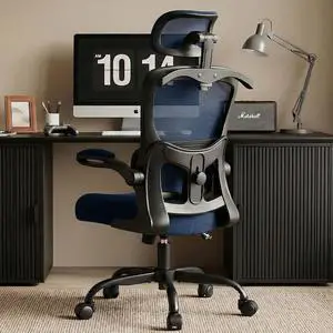 AreShark Office Chair Ergonomic Desk Chairs with Adjustable Lumbar Support& Headrest Hanger, High Back Breathable Mesh Chair with Wheels, Rolling Swivel Comfy Task Computer Chair for Home Work Gaming AreShark Office Chair Ergonomic Desk Chairs with Adjustable Lumbar Support& Headrest Hanger, High Back Breathable Mesh Chair with Wheels, Rolling Swivel Comfy Task Computer Chair for Home Work Gaming
