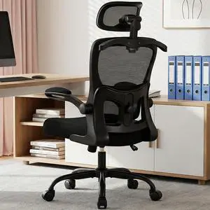 AreShark Ergonomic Office Chair with Adjustable Lumbar Support & Headrest, High Back Breathable Mesh Desk Chair with Flip-Up Arms & Coat Hanger, Swivel Computer Task Chair for Home Office & Gaming AreShark Ergonomic Office Chair with Adjustable Lumbar Support & Headrest, High Back Breathable Mesh Desk Chair with Flip-Up Arms & Coat Hanger, Swivel Computer Task Chair for Home Office & Gaming