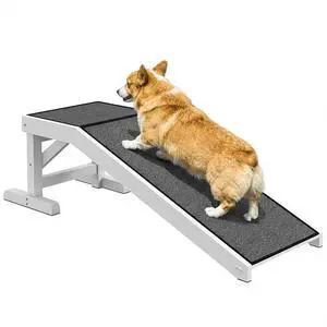PawHut Dog Ramp for Bed, Pet Ramp for Dogs with Non-Slip Carpet and Top Platform, 49" x 16" x 14", White | Pet Ramp for Bed, Top Platform PawHut Dog Ramp for Bed, Pet Ramp for Dogs with Non-Slip Carpet and Top Platform, 49" x 16" x 14", White | Pet Ramp for Bed, Top Platform