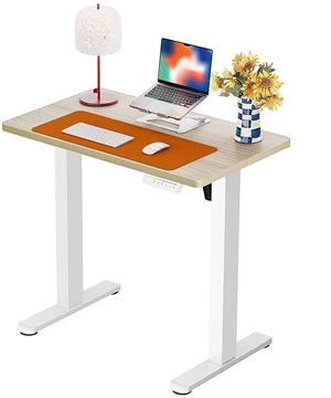 ErGear Height Adjustable Electric Standing Desk, 32 x 19 Inches Sit Stand up Desk, Memory Computer Home Office Desk, Natural ErGear Height Adjustable Electric Standing Desk, 32 x 19 Inches Sit Stand up Desk, Memory Computer Home Office Desk, Natural