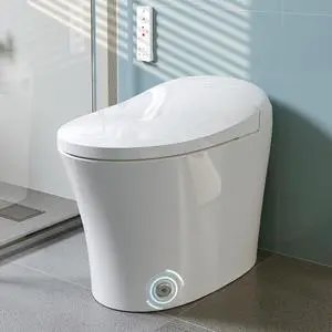 Smart Toilet with Heated Bidet, Modern Bidet Toilet With Instant Warm Water, Pre-Wet, Tankless Toilet with Dual Flush System 1/1.27 GPF, White Bidet Toilet (HR-T16SD) Smart Toilet with Heated Bidet, Modern Bidet Toilet With Instant Warm Water, Pre-Wet, Tankless Toilet with Dual Flush System 1/1.27 GPF, White Bidet Toilet (HR-T16SD)