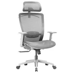 OC3 Air Ergonomic Office Chair Mesh Back Swivel Computer Chair Executive Office Desk Chairs with Adjustable Lumbar Support/2D Headrest/Lockable Backrest, Mesh Seat Cushion, Light Gray OC3 Air Ergonomic Office Chair Mesh Back Swivel Computer Chair Executive Office Desk Chairs with Adjustable Lumbar Support/2D Headrest/Lockable Backrest, Mesh Seat Cushion, Light Gray