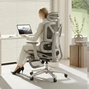 ErgoX Premium Ergonomic Office Chair with Footrest- Adjustable 3D Armrests, Dynamic Lumbar Support, Recline & Tilt Function, Mesh Seat, for Home & Office Use,Light Grey ErgoX Premium Ergonomic Office Chair with Footrest- Adjustable 3D Armrests, Dynamic Lumbar Support, Recline & Tilt Function, Mesh Seat, for Home & Office Use,Light Grey