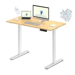 E3 Bamboo Dual Motor Electric Standing Desk 48 x 24 Sit Stand Up Desk, Holds 220 lbs, Adjustable Height w/Memory Presets, Solid Bamboo Desktop & White Frame, Ships in 2 Boxes E3 Bamboo Dual Motor Electric Standing Desk 48 x 24 Sit Stand Up Desk, Holds 220 lbs, Adjustable Height w/Memory Presets, Solid Bamboo Desktop & White Frame, Ships in 2 Boxes