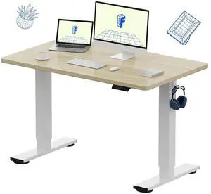 EN1 One-Piece Standing Desk with 1-Inch Thick Seamless Desktop, 48"x30" Electric Height Adjustable Desk for Home Office, Multi-Monitor Setups & Easy Assembly, White Wood Grain EN1 One-Piece Standing Desk with 1-Inch Thick Seamless Desktop, 48"x30" Electric Height Adjustable Desk for Home Office, Multi-Monitor Setups & Easy Assembly, White Wood Grain