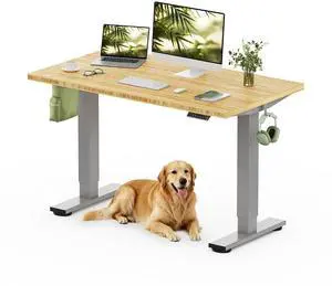 Solid Bamboo Standing Desk, 48" x 24" Real Bamboo Desktop with Natural Grain, Durable & Sustainable Workstation for Home Office and Multi-Monitor Setups (Silver Frame) Solid Bamboo Standing Desk, 48" x 24" Real Bamboo Desktop with Natural Grain, Durable & Sustainable Workstation for Home Office and Multi-Monitor Setups (Silver Frame)