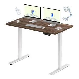 E3 Dual Motor Electric Standing Desk 55 x 28 Sit Stand Up Desk, Holds 220 lbs, Adjustable Height w/Memory Presets, One-Piece Brown Wood Grain Desktop & White Frame, Ships in 2 Boxes E3 Dual Motor Electric Standing Desk 55 x 28 Sit Stand Up Desk, Holds 220 lbs, Adjustable Height w/Memory Presets, One-Piece Brown Wood Grain Desktop & White Frame, Ships in 2 Boxes
