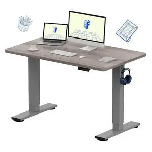 EN1 One-Piece Standing Desk 48 x 30 Inches Height Adjustable Electric Desk (Silver Frame + Grey Wood Grain Top, 2 Packages) EN1 One-Piece Standing Desk 48 x 30 Inches Height Adjustable Electric Desk (Silver Frame + Grey Wood Grain Top, 2 Packages)