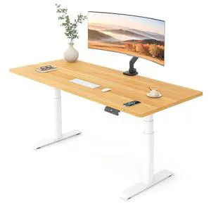 E6 Pro Oval Leg Dual Motor 3 Stages Standing Desk 60x24 Inch Whole-Piece Board Electric Height Adjustable Electric Sit Stand Up Desk 150KG Load Capacity (White Frame + Maple Desktop) E6 Pro Oval Leg Dual Motor 3 Stages Standing Desk 60x24 Inch Whole-Piece Board Electric Height Adjustable Electric Sit Stand Up Desk 150KG Load Capacity (White Frame + Maple Desktop)