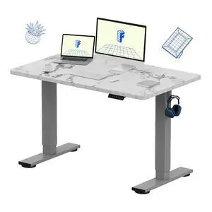 EN1 One-Piece Standing Desk 48 x 30 Inches Height Adjustable Electric Desk (Silver Frame + Marble Grey Top, 2 Packages) EN1 One-Piece Standing Desk 48 x 30 Inches Height Adjustable Electric Desk (Silver Frame + Marble Grey Top, 2 Packages)