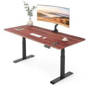 E6 Pro 55" x 28" Dual Motor Electric Standing Desk, Organic Modern Oval Leg Design, 3-Stage Height Adjustable Sit Stand Desk with Heavy Duty 330lbs, Mahogany Desktop, Black Frame E6 Pro 55" x 28" Dual Motor Electric Standing Desk, Organic Modern Oval Leg Design, 3-Stage Height Adjustable Sit Stand Desk with Heavy Duty 330lbs, Mahogany Desktop, Black Frame