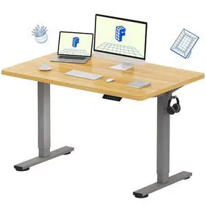 EN1 One-Piece Height Adjustable Desk 48 x 30 inch Electric Standing Desk for Home Office (Silver Frame + 48" Natural Top, 2 Packages) EN1 One-Piece Height Adjustable Desk 48 x 30 inch Electric Standing Desk for Home Office (Silver Frame + 48" Natural Top, 2 Packages)