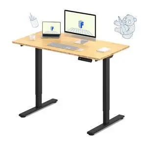 E3 Bamboo Dual Motor Electric Standing Desk 48 x 24 Sit Stand Up Desk, Holds 220 lbs, Adjustable Height w/Memory Presets, Solid Bamboo Desktop & Black Frame, Ships in 2 Boxes E3 Bamboo Dual Motor Electric Standing Desk 48 x 24 Sit Stand Up Desk, Holds 220 lbs, Adjustable Height w/Memory Presets, Solid Bamboo Desktop & Black Frame, Ships in 2 Boxes