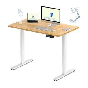E3 Dual Motor Electric Standing Desk 48 x 30 Sit Stand Up Desk, Holds 220 lbs, Adjustable Height w/Memory Presets, One-Piece Maple Desktop & White Frame, Ships in 2 Boxes E3 Dual Motor Electric Standing Desk 48 x 30 Sit Stand Up Desk, Holds 220 lbs, Adjustable Height w/Memory Presets, One-Piece Maple Desktop & White Frame, Ships in 2 Boxes